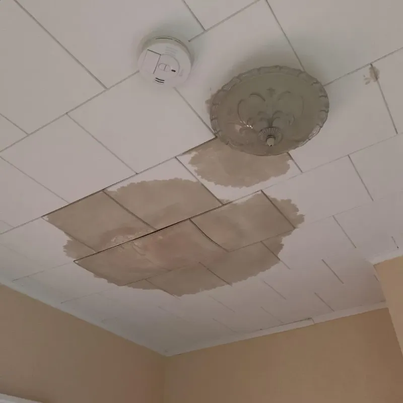 Ceiling Water Damage Repair in Hannibal, MO