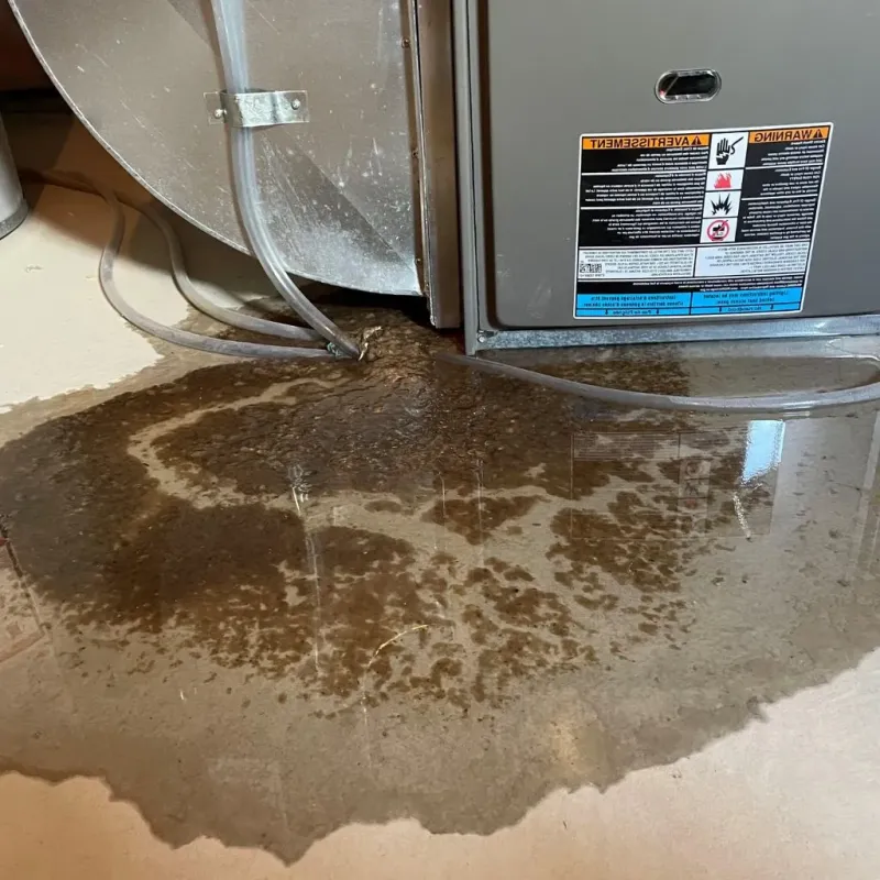 Pipe Burst and Leak Restoration in Hannibal, MO