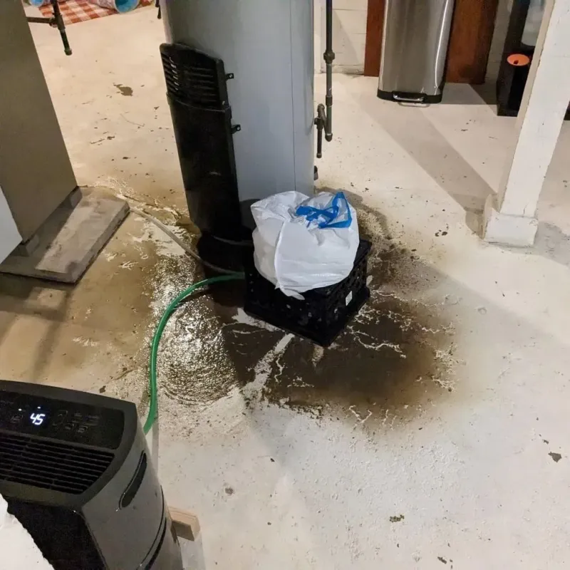 Sewage Backup Cleanup Service in Hannibal, MO